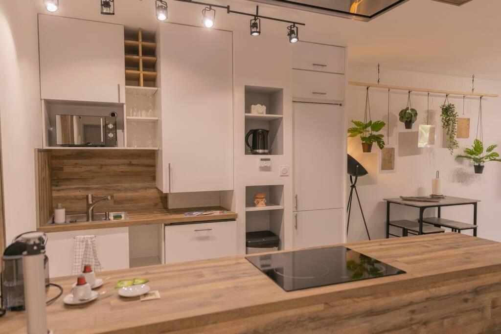 Superbe Appart Plein Centre Avec Parking & Jardin 梅斯 外观 照片